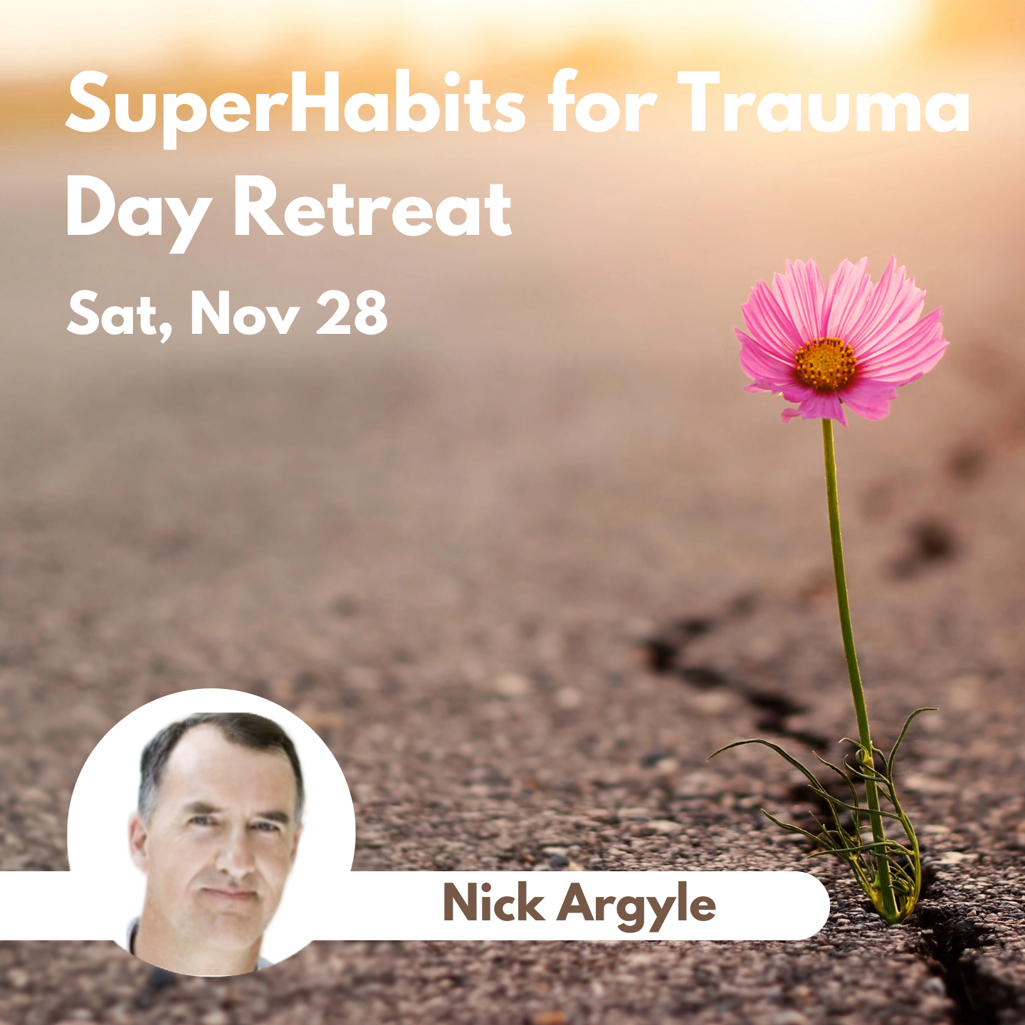SuperHabits for Trauma Day Retreat - November 28, 2026